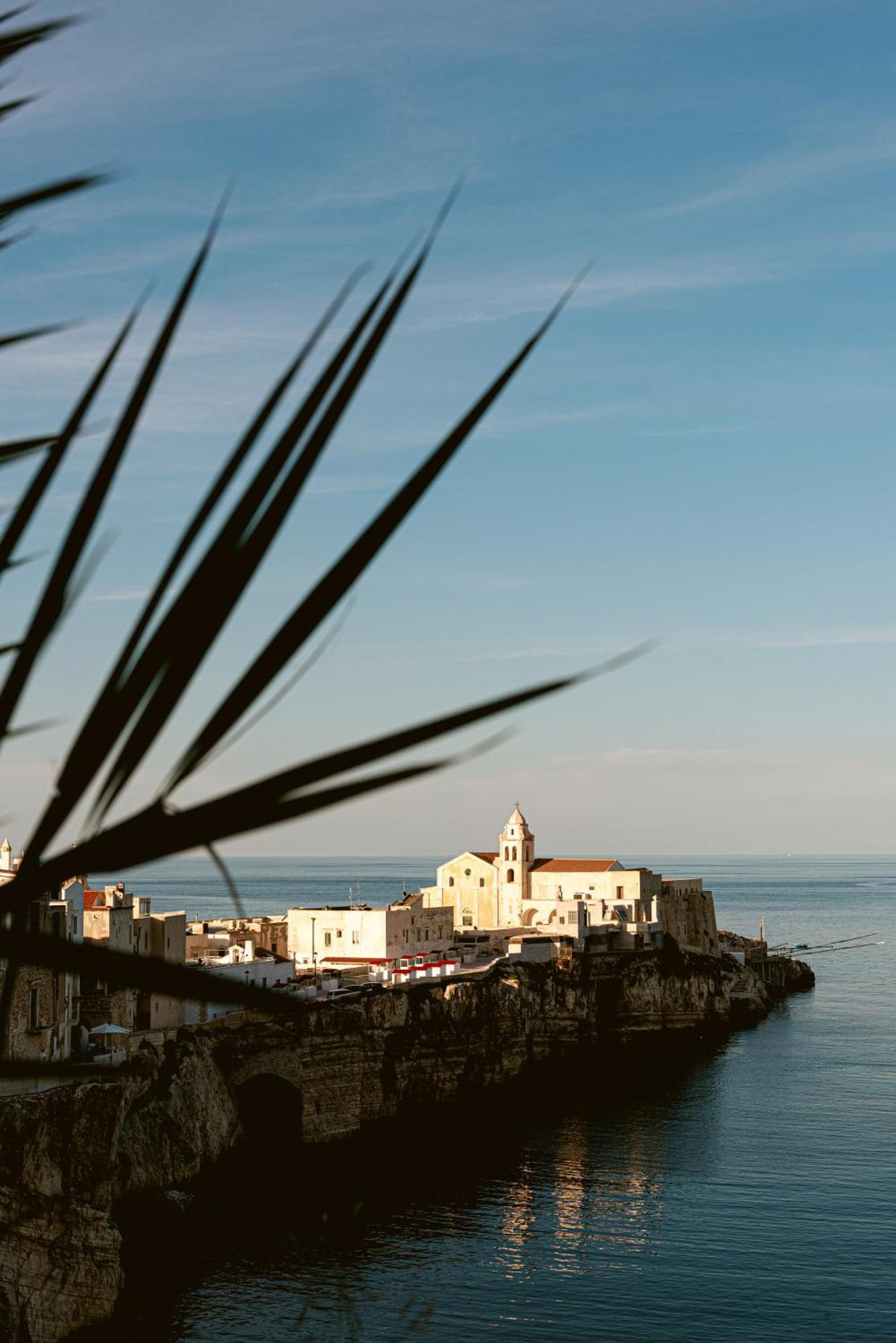Hotel Degli Aranci Vieste Esterno foto